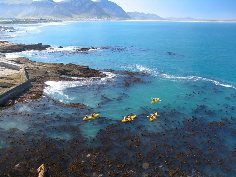 Bamboo @ Le Paradis Hermanus Exterior photo